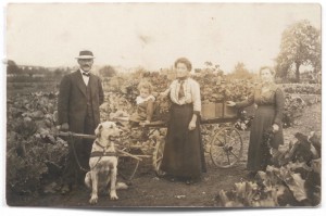 Beerstecher AG 1914 Hunde- statt Pferdestärken